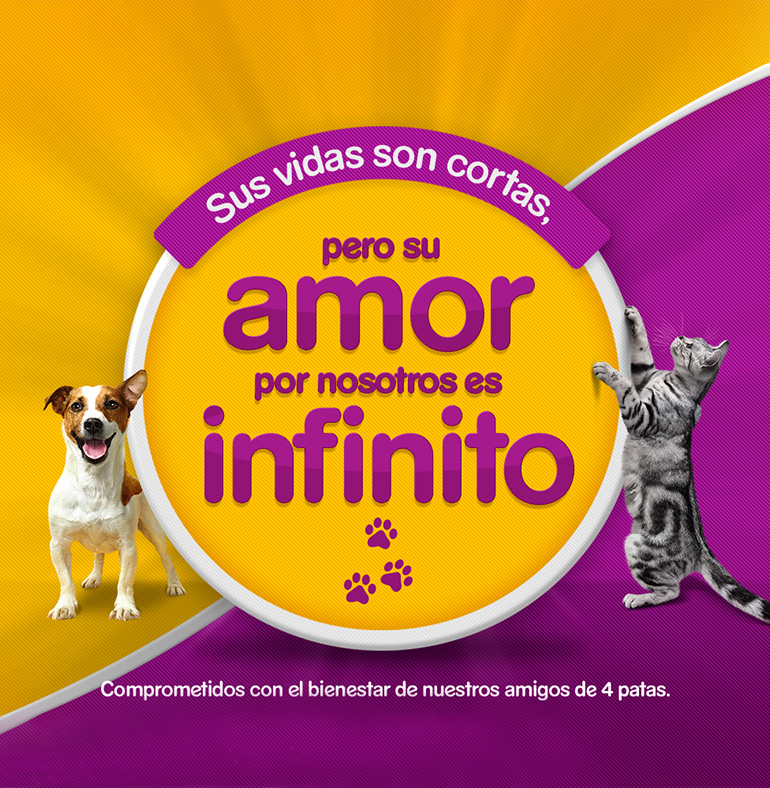 Amor infinito